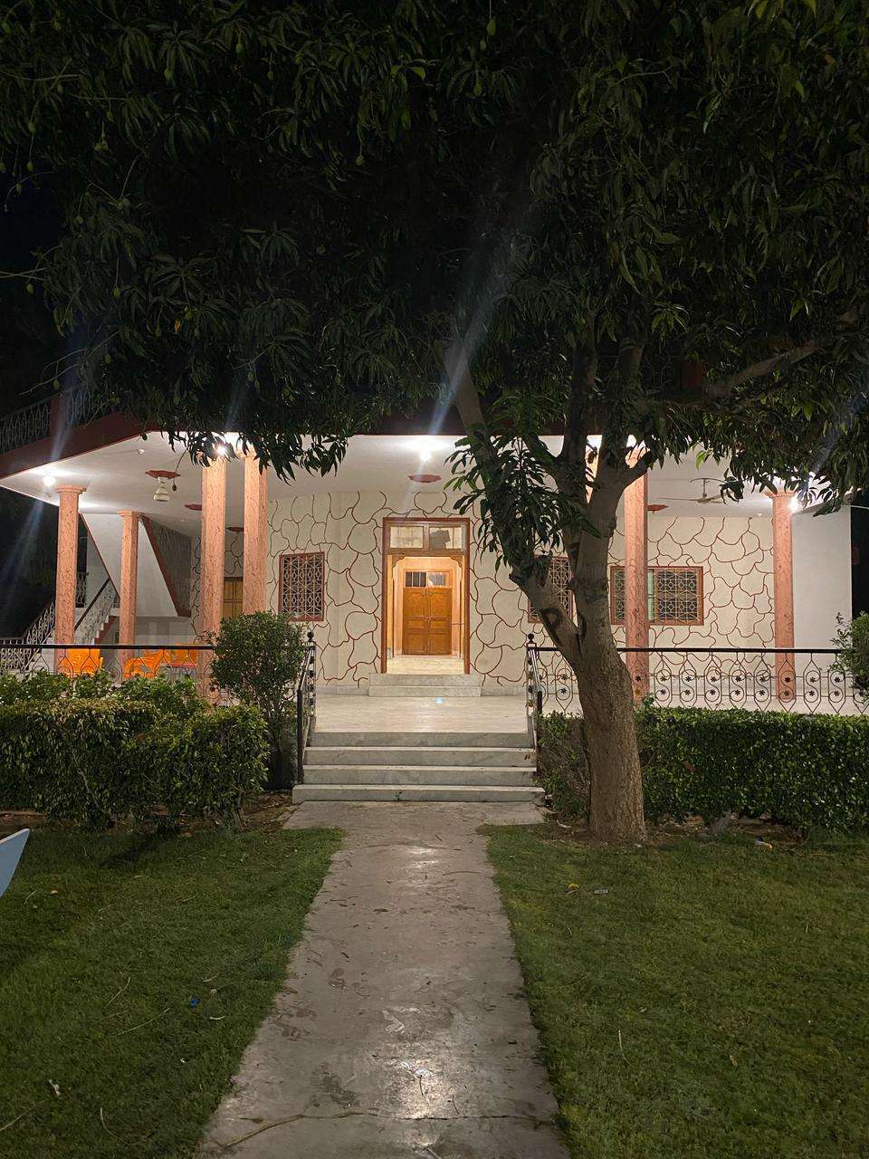 Image 19