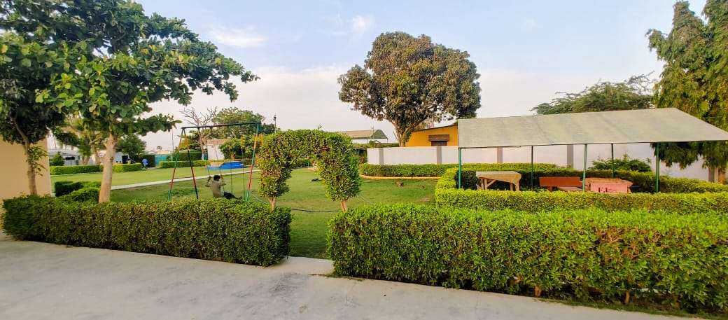 Image 4