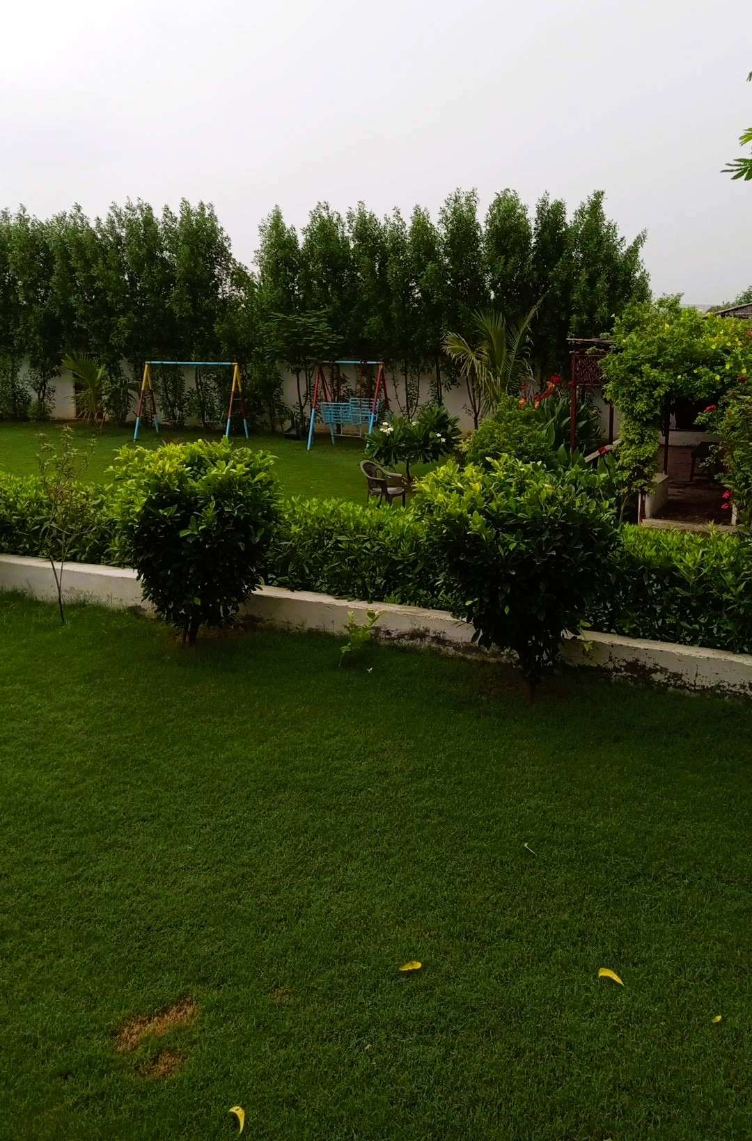Image 10