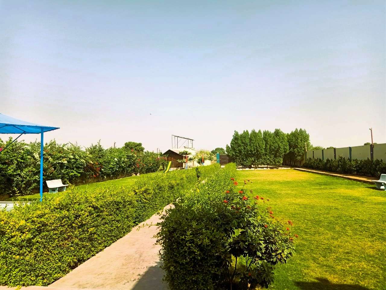 Image 10